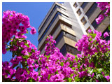 Hoogbouw in Porto Alegre